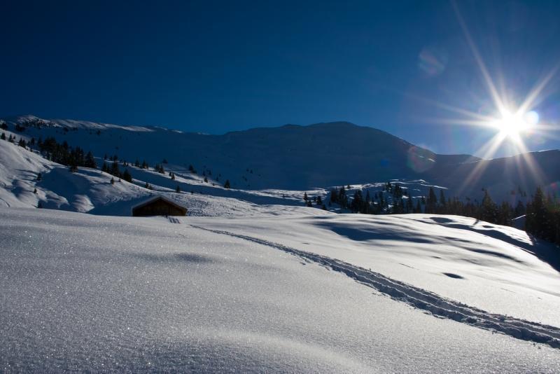 Islitzer Hollersbach im Pinzgau